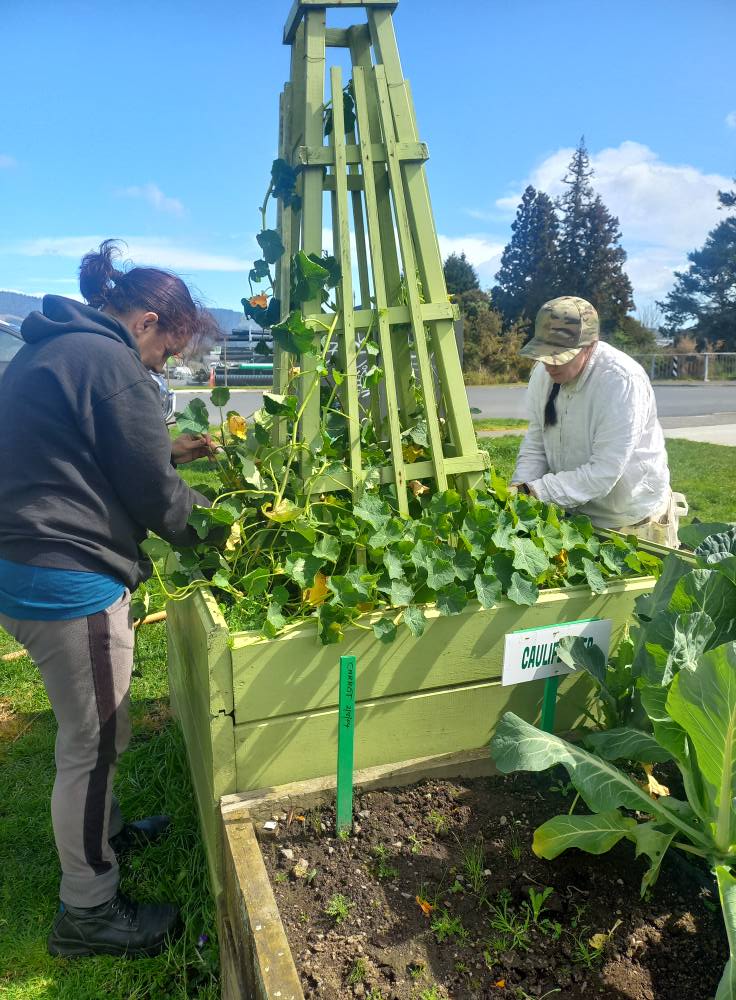 Vounteers working